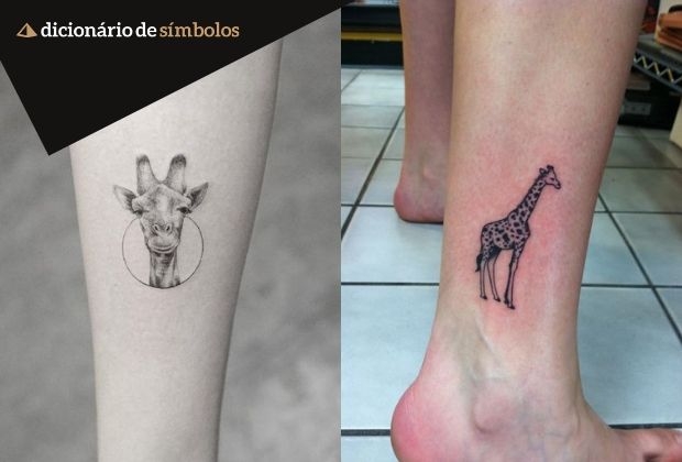 Girafa Um Simbolo De Intuicao E Elegancia