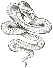 Serpente