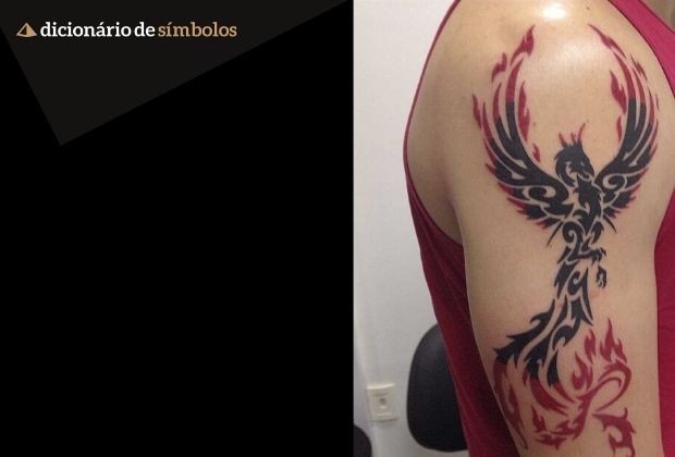 Tatuagem De Fenix Significado E Imagens